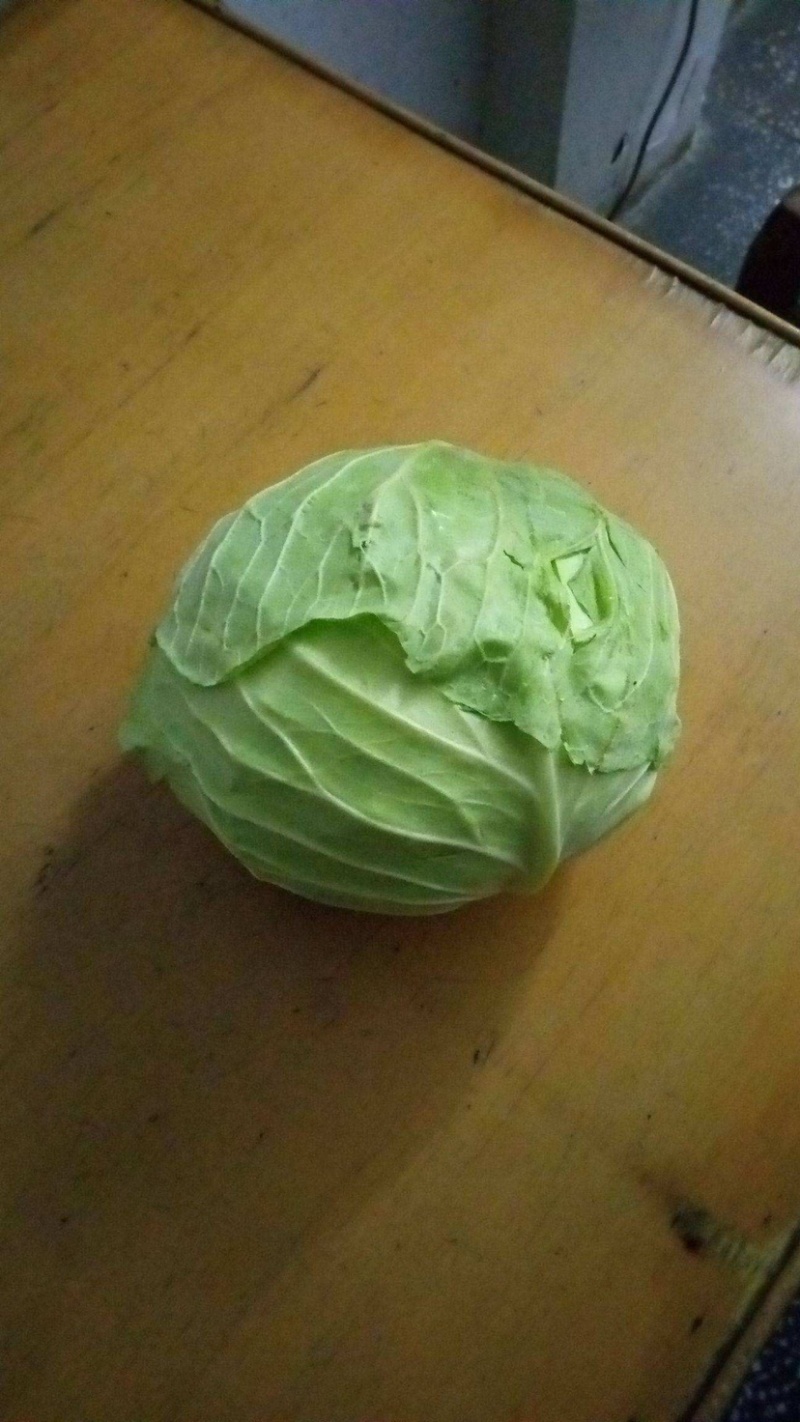 精品包菜，价格随行就市！