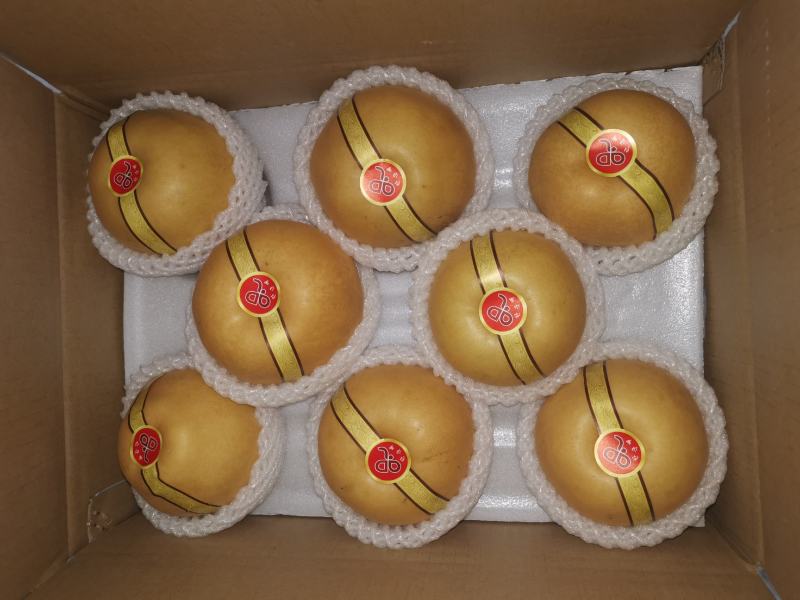 精品新高梨，产地直供，可做出口加工，代收代发全国各地