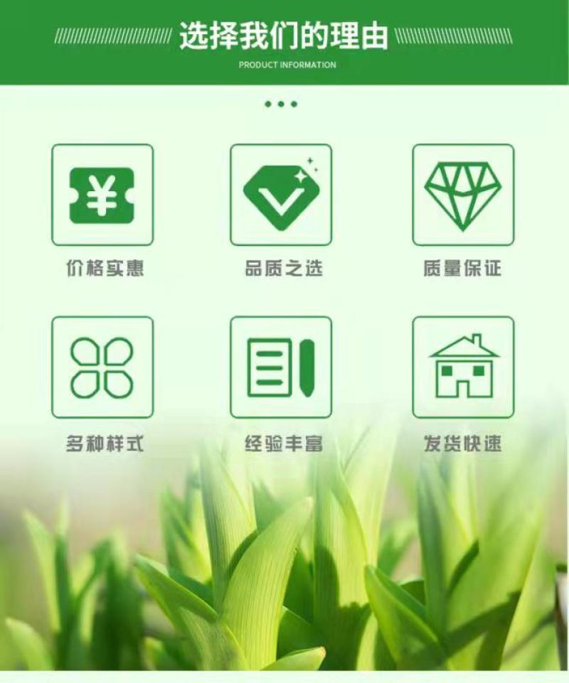 国光辛菌胺醋酸盐桃树流胶病苹果树腐烂果锈酸腐病农药