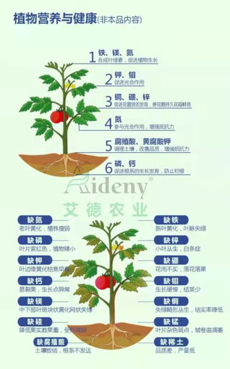 国光辛菌胺醋酸盐桃树流胶病苹果树腐烂果锈酸腐病农药