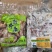 现煮牛杂半成品8成熟一包2斤火锅半成品食材