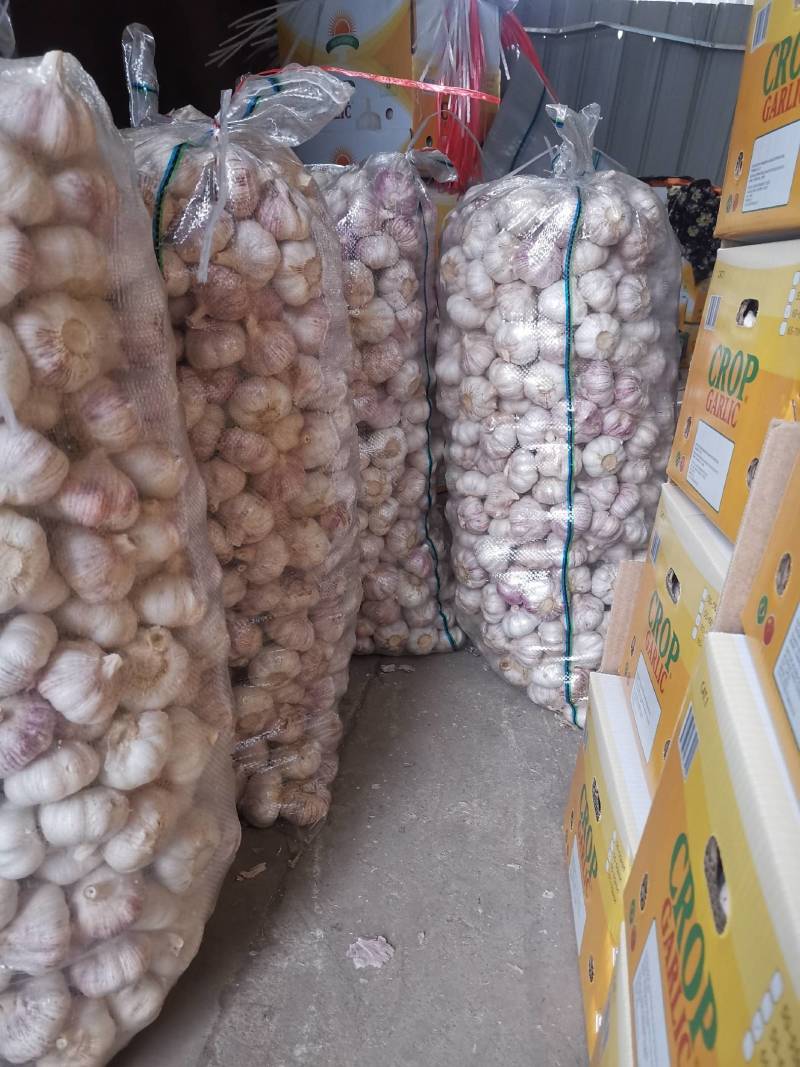 山东省金乡代办大蒜种植基地，自产自销，保证质量，诚信为本