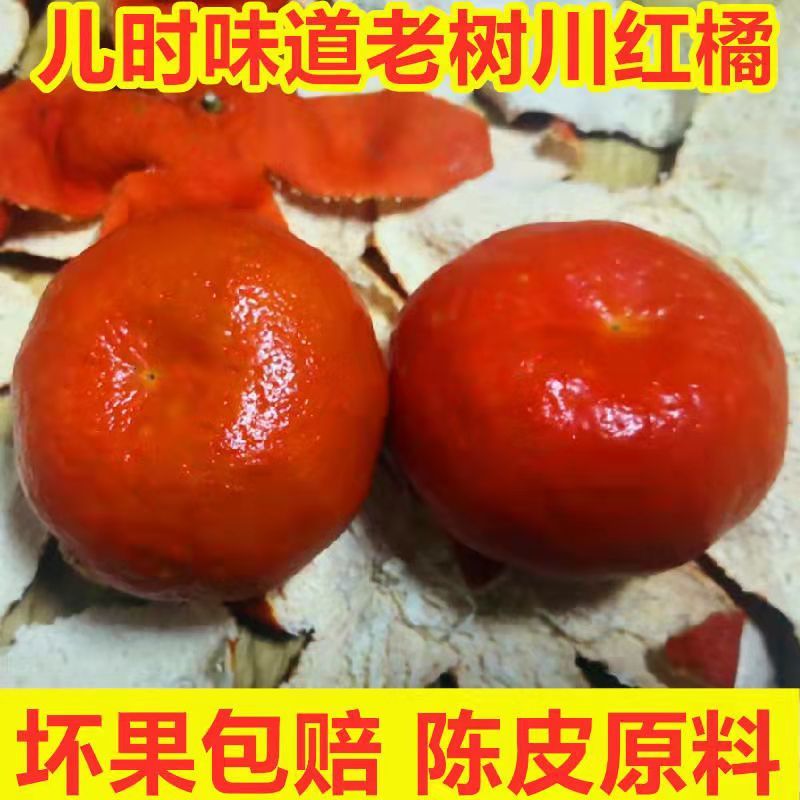柑桔老朋友来到美丽万州做客。古红桔特产区，几十老树，口感