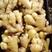 大黄姜，优质精品生姜品种多样规格齐全全国发货，欢迎下单
