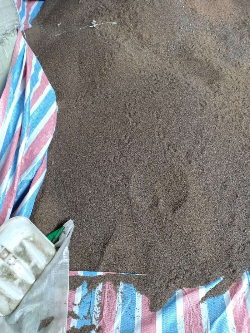 多花木兰