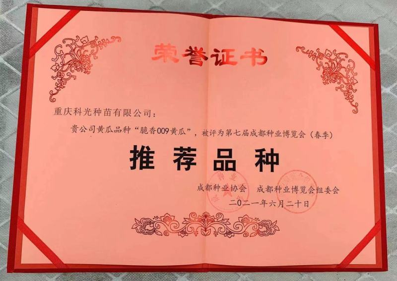 强雌性旱黄瓜种子无苦味黄瓜种子山黄瓜种子