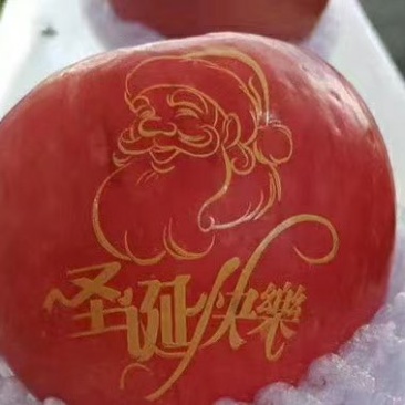 圣诞平安果大量有货，诚信合作，量大从优，欢迎咨询与看货