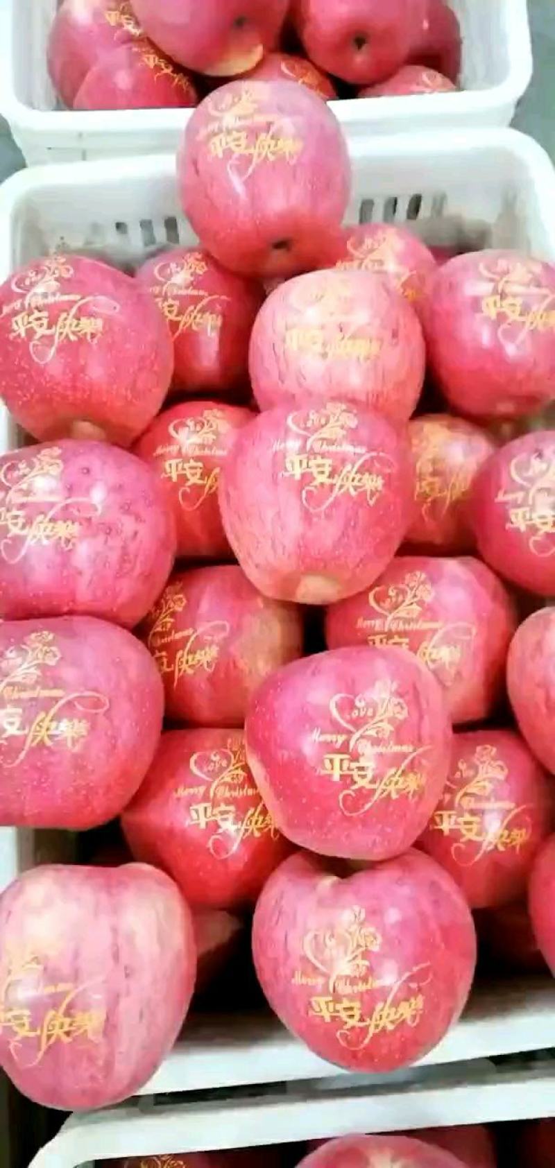 圣诞平安果大量有货，诚信合作，量大从优，欢迎咨询与看货