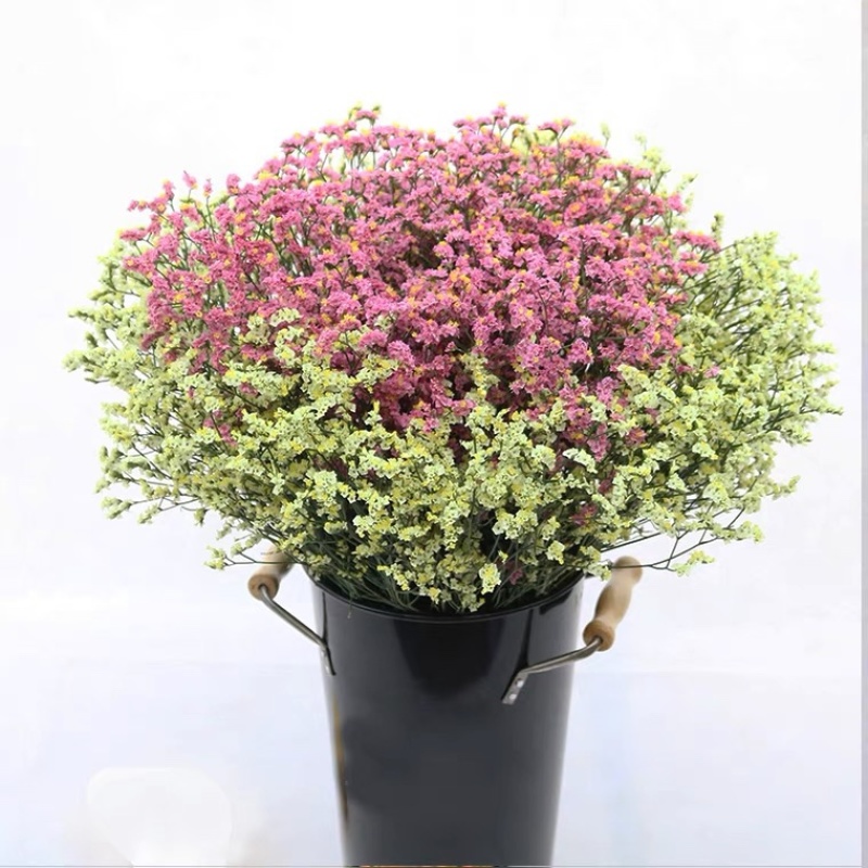批发水晶草一斤云南鲜花直发配花配草干花鲜花批发一件代发