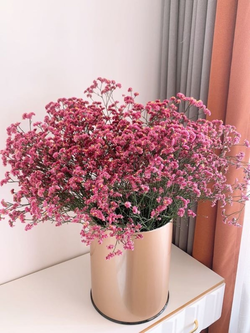 批发水晶草一斤云南鲜花直发配花配草干花鲜花批发一件代发