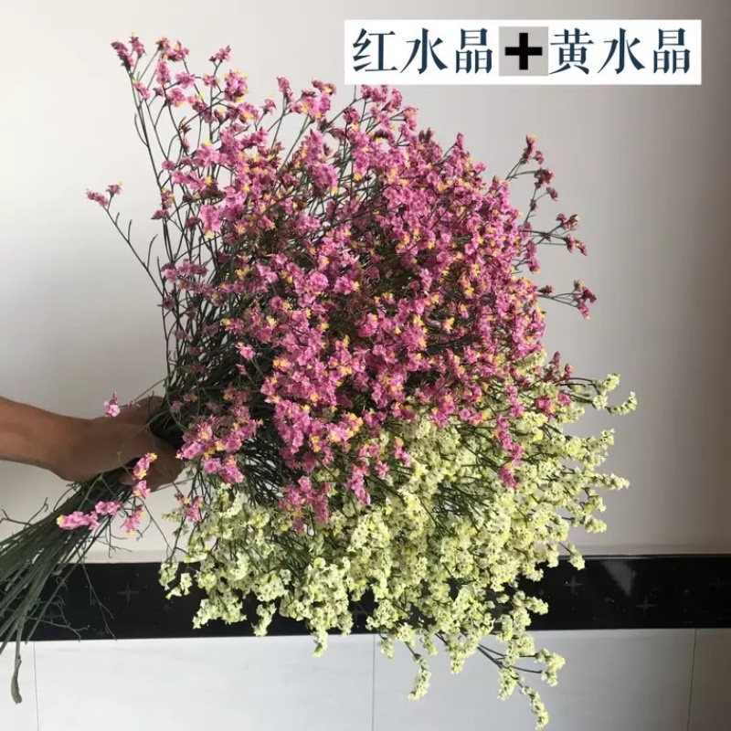 批发水晶草一斤云南鲜花直发配花配草干花鲜花批发一件代发