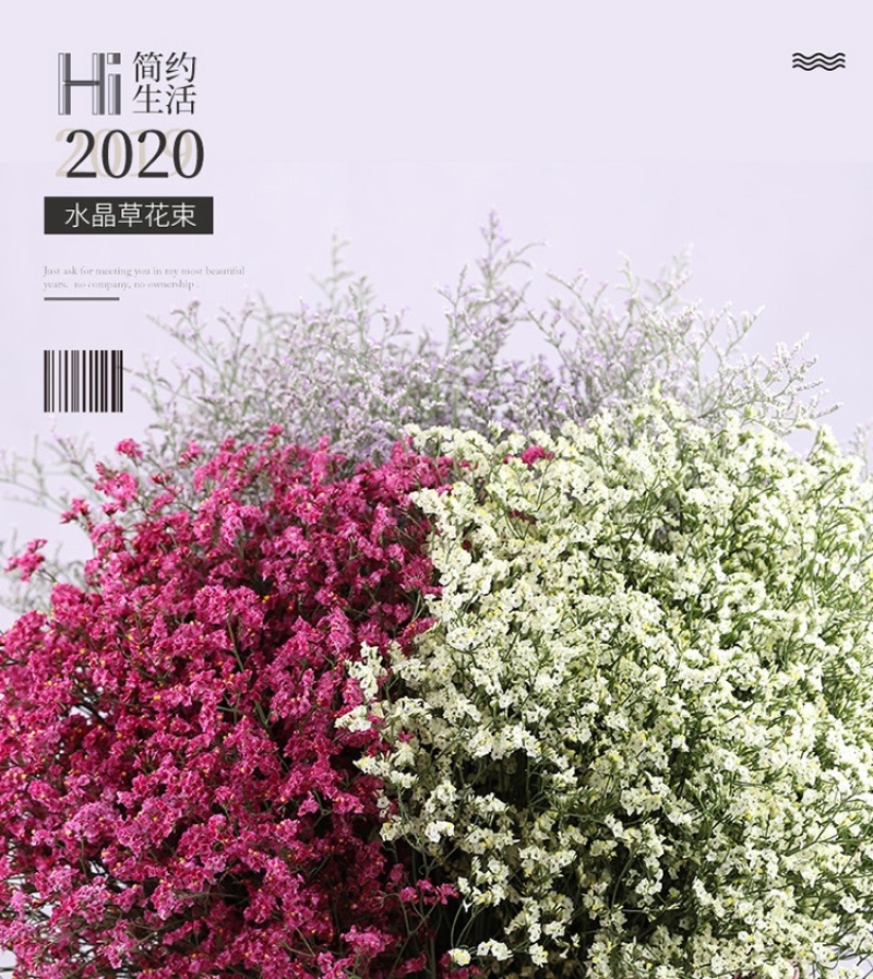 批发水晶草一斤云南鲜花直发配花配草干花鲜花批发一件代发