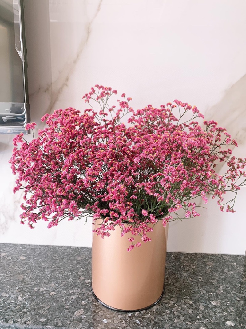 批发水晶草一斤云南鲜花直发配花配草干花鲜花批发一件代发