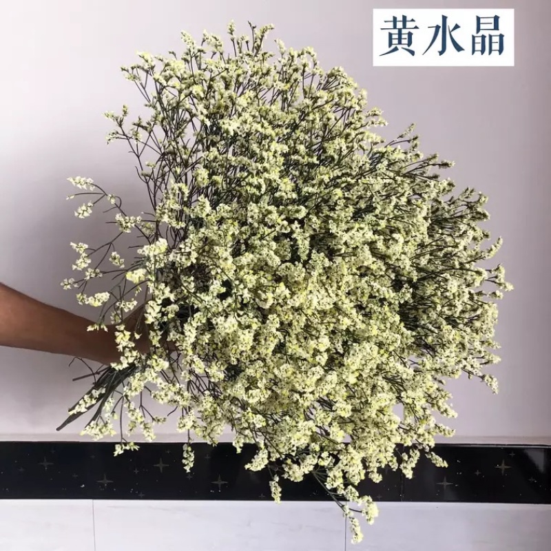 批发水晶草一斤云南鲜花直发配花配草干花鲜花批发一件代发