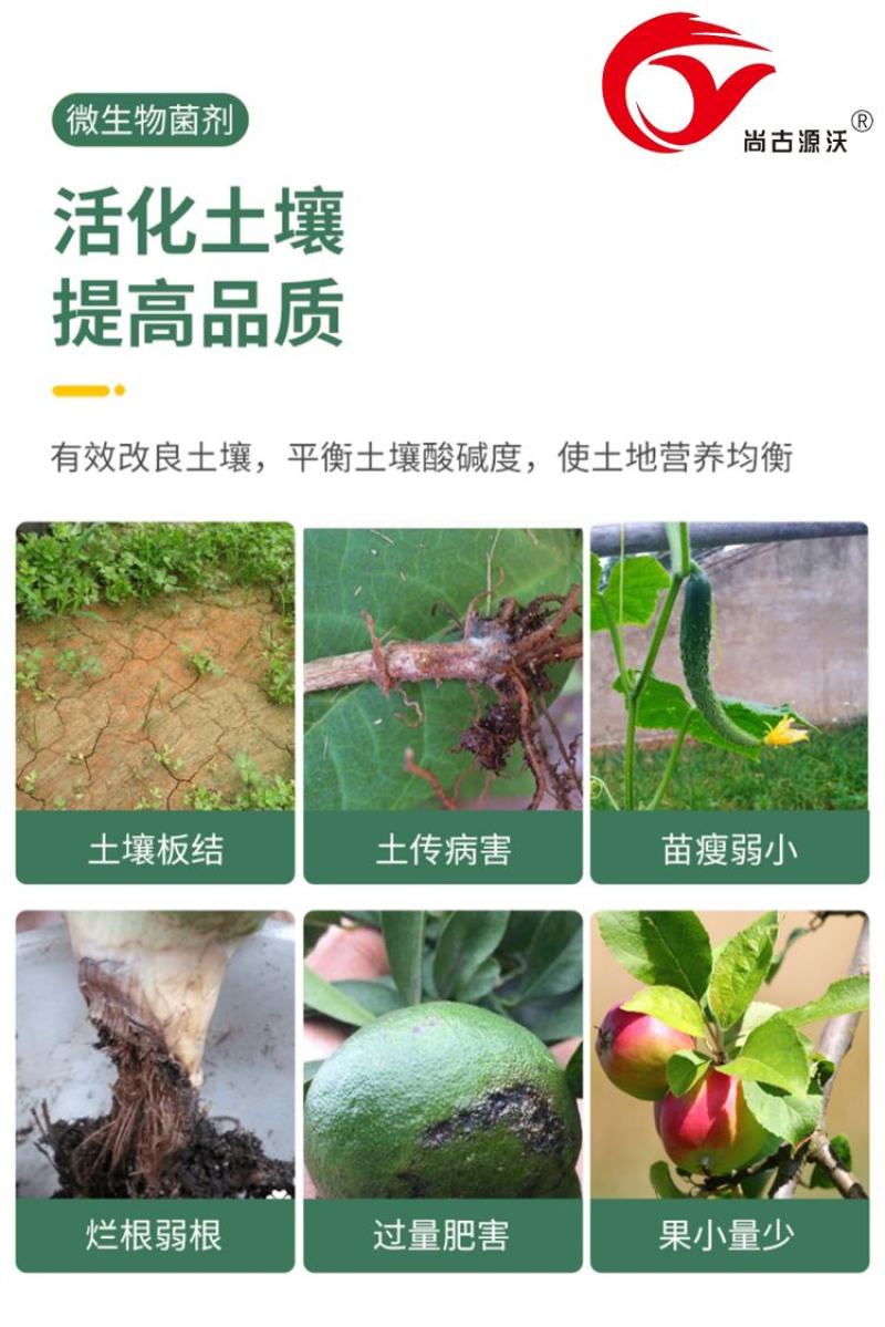 土壤调理剂专业防治土壤板结盐碱地有机质25%氮磷钾15%