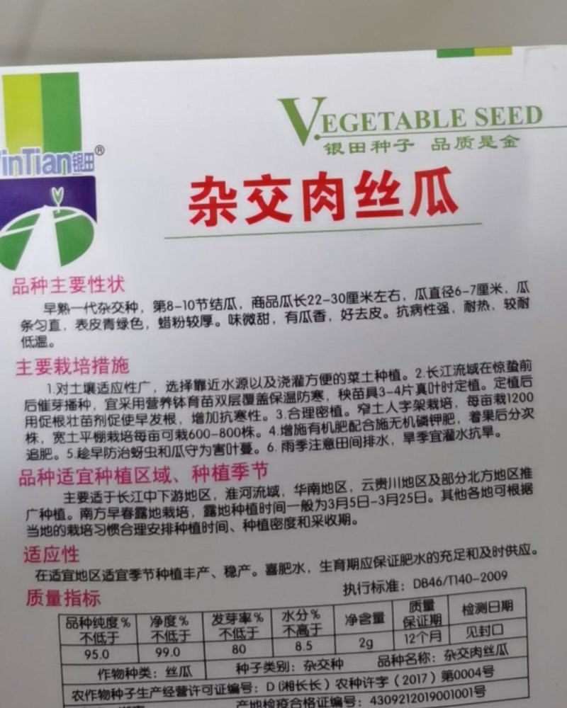 肉丝瓜种子杂交短棒丝瓜长25公分左右圆筒型四季陆地大棚种