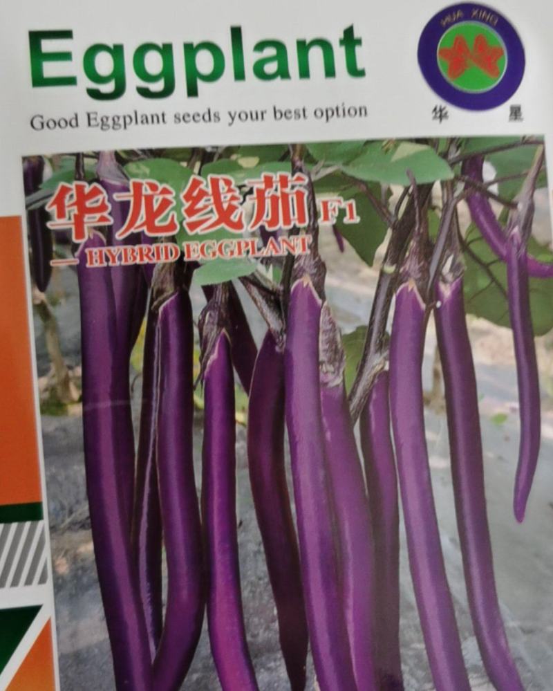 华龙线茄种子茄子种籽紫线茄种子耐高温细长白肉大田基地选