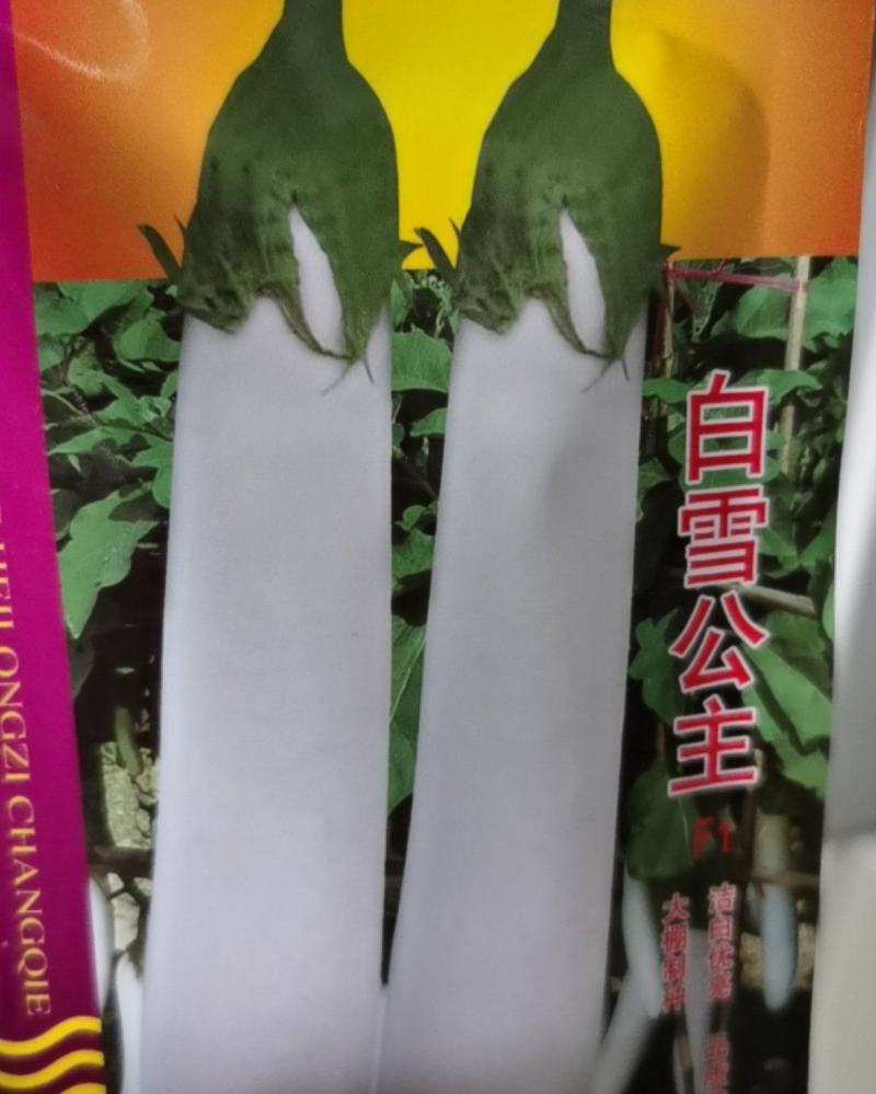 白长茄子种子白雪公主长茄种子抗逆性洁白茄子适应强