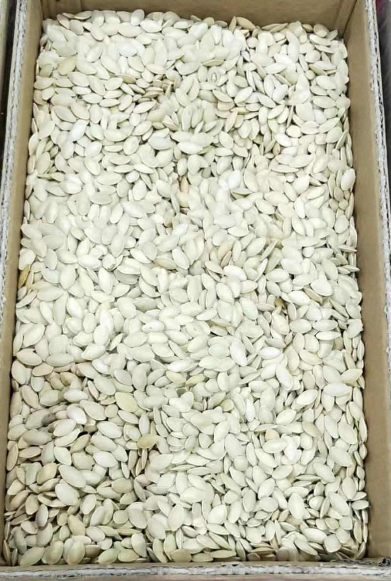南瓜子椒盐原味大白南瓜子卤味南瓜子颗粒饱满口感香