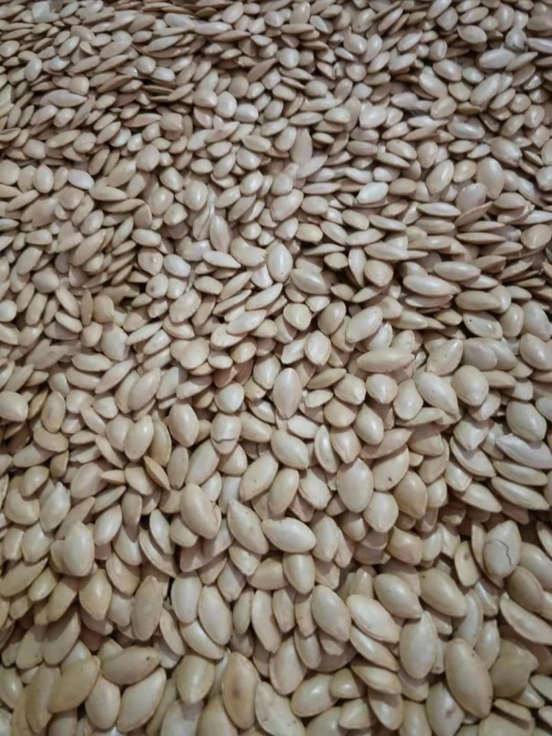 南瓜子椒盐原味大白南瓜子卤味南瓜子颗粒饱满口感香