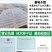 新品种白雪公主草莓苗基地培育包成活死苗免费补发包邮