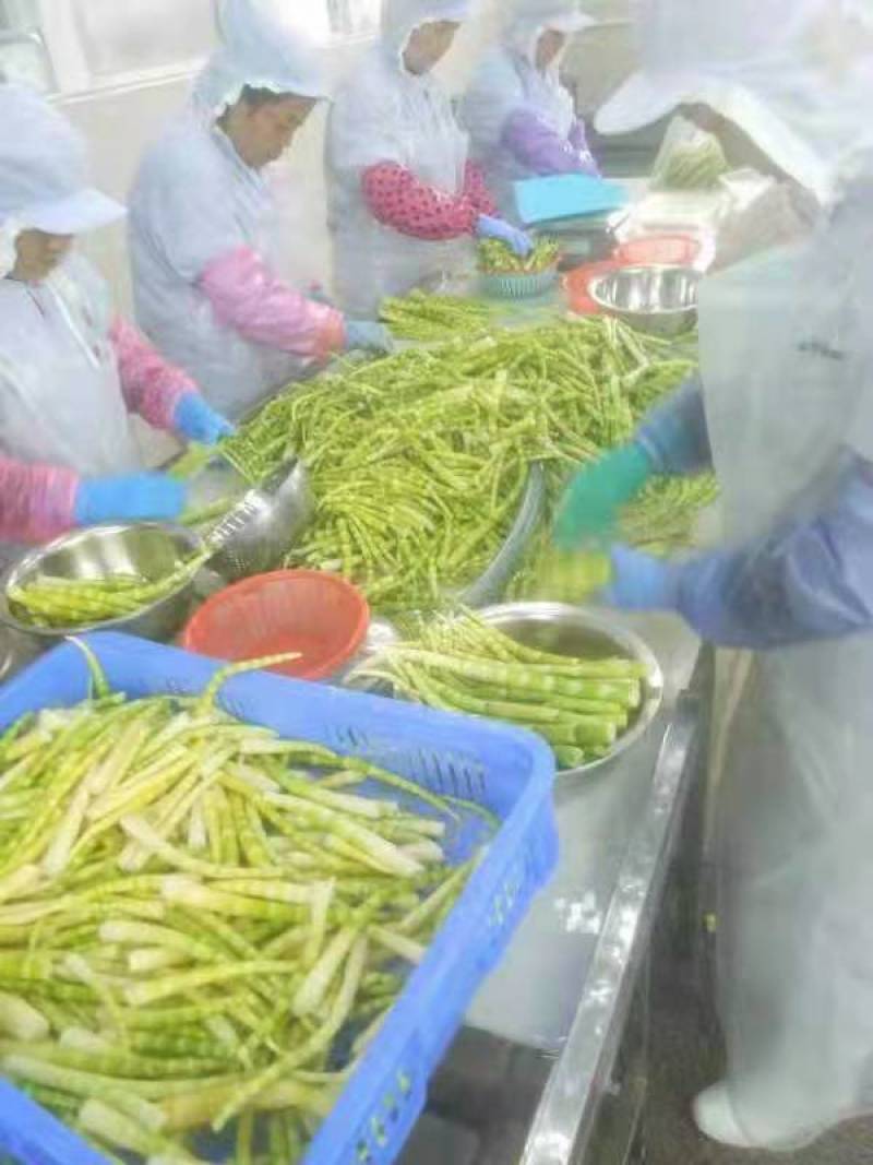 小竹笋货源充足，自家工厂生产，一手货源，脆嫩爽口