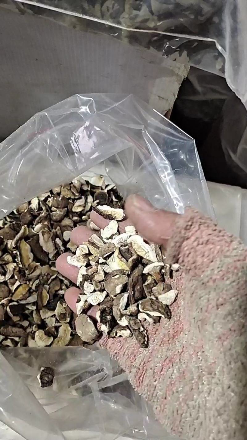 大家好我是泌阳胡琴、购买特产找我、鲜花菇、干花菇各种规格