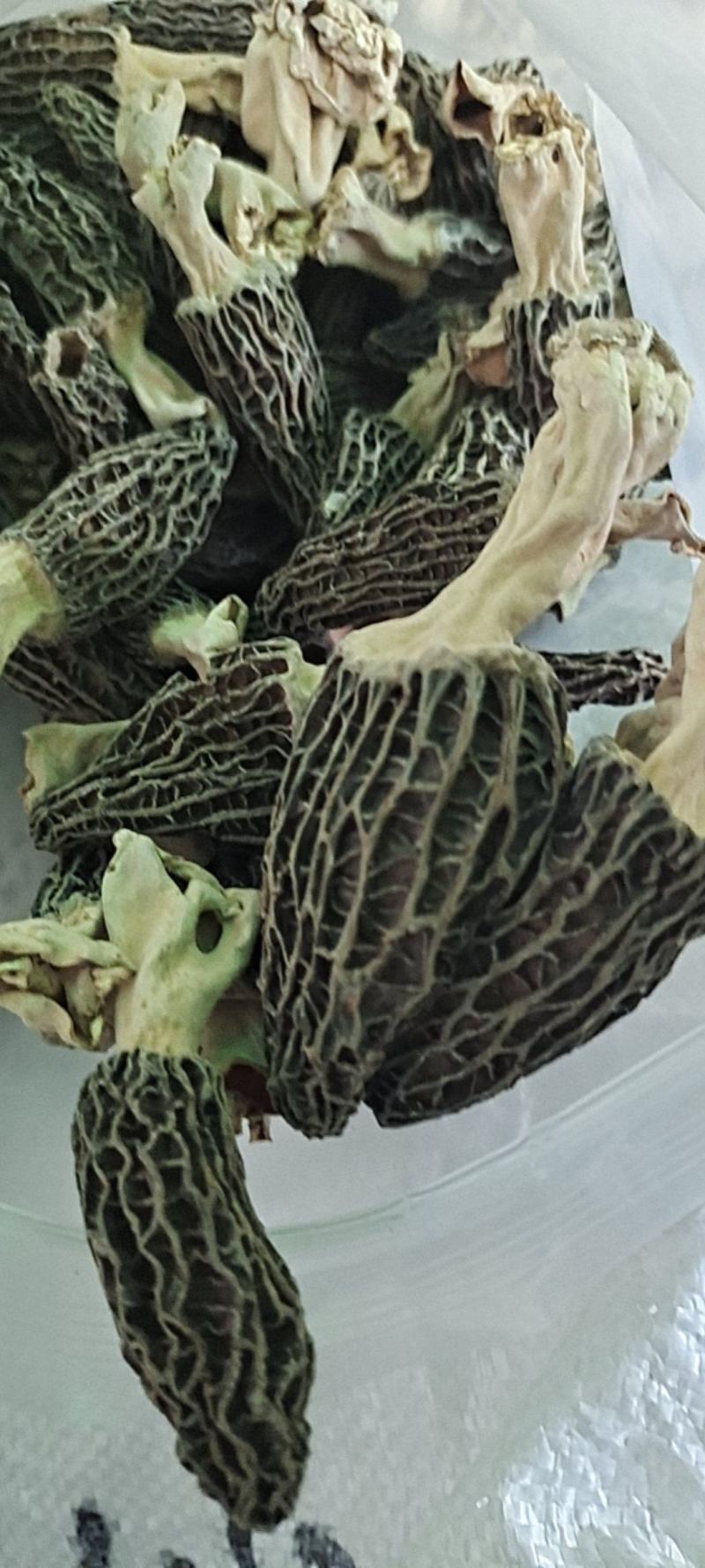 大家好我是泌阳胡琴、购买特产找我、鲜花菇、干花菇各种规格