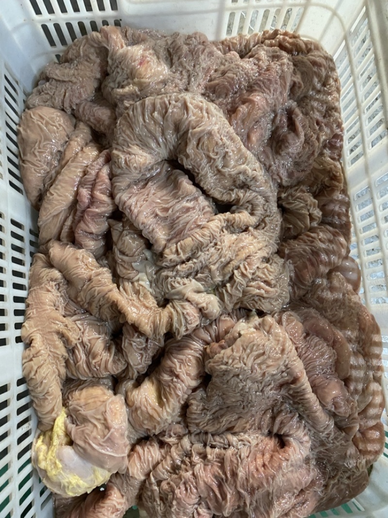 鲜板肠，马板肠，活马现杀的当天新货，优惠中！