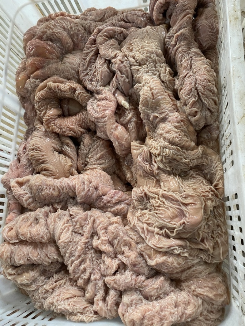 鲜板肠，马板肠，活马现杀的当天新货，优惠中！