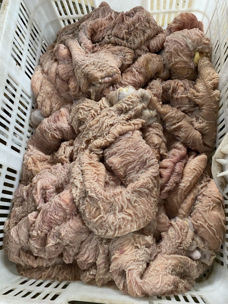 鲜板肠，马板肠，活马现杀的当天新货，优惠中！