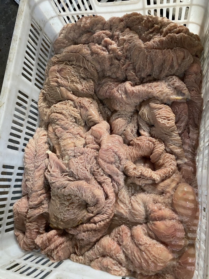 鲜板肠，马板肠，活马现杀的当天新货，优惠中！