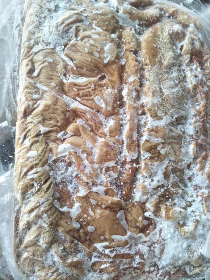 鲜板肠，马板肠，活马现杀的当天新货，优惠中！