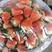 【热卖】草莓济南甜宝草莓大量供应品质保证欢迎咨询