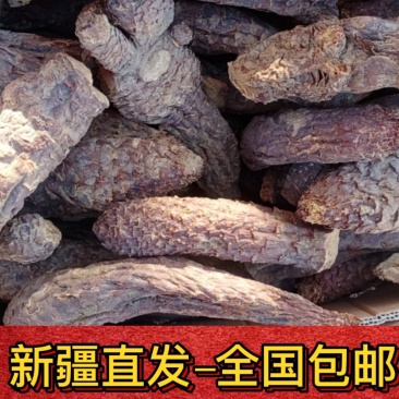 新货管花肉苁蓉新疆和田大芸寸芸直发包邮批发特产