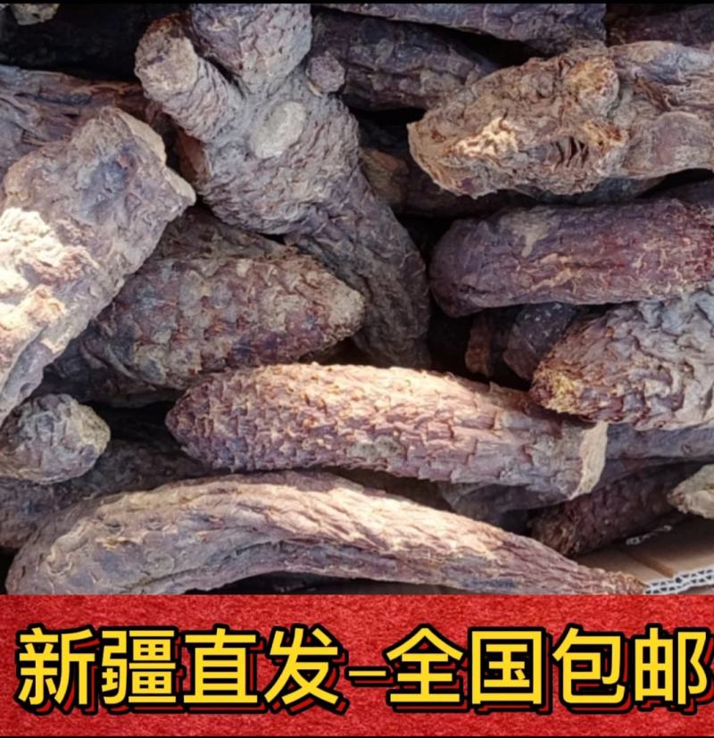 新货管花肉苁蓉新疆和田大芸寸芸直发包邮批发特产