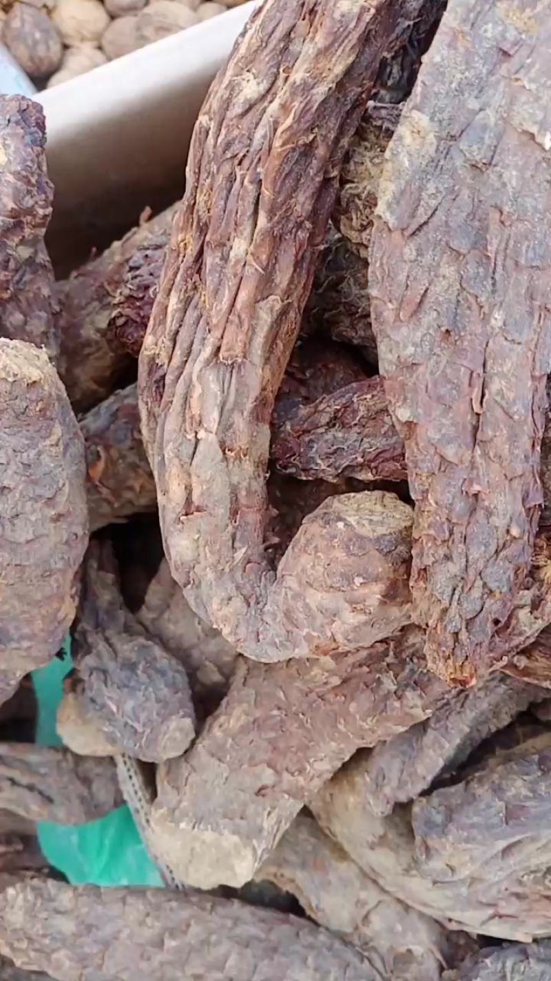 新货管花肉苁蓉新疆和田大芸寸芸直发包邮批发特产