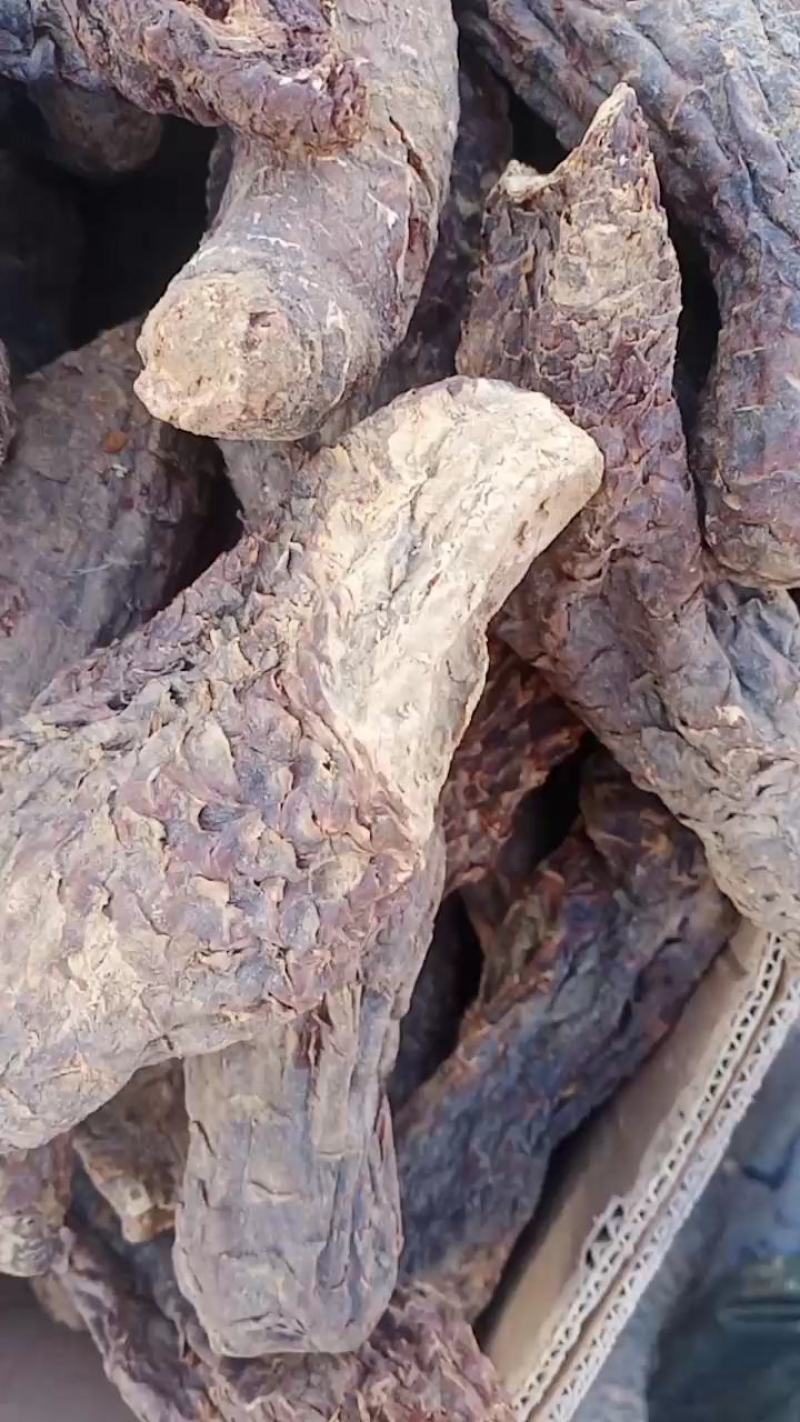 新货管花肉苁蓉新疆和田大芸寸芸直发包邮批发特产
