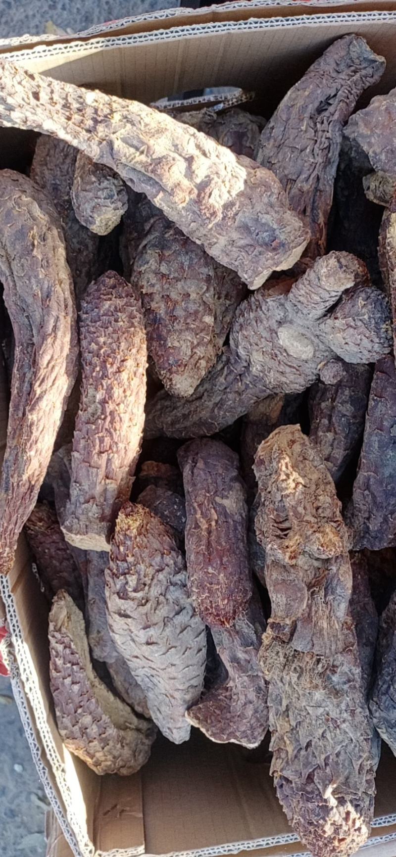 新货管花肉苁蓉新疆和田大芸寸芸直发包邮批发特产