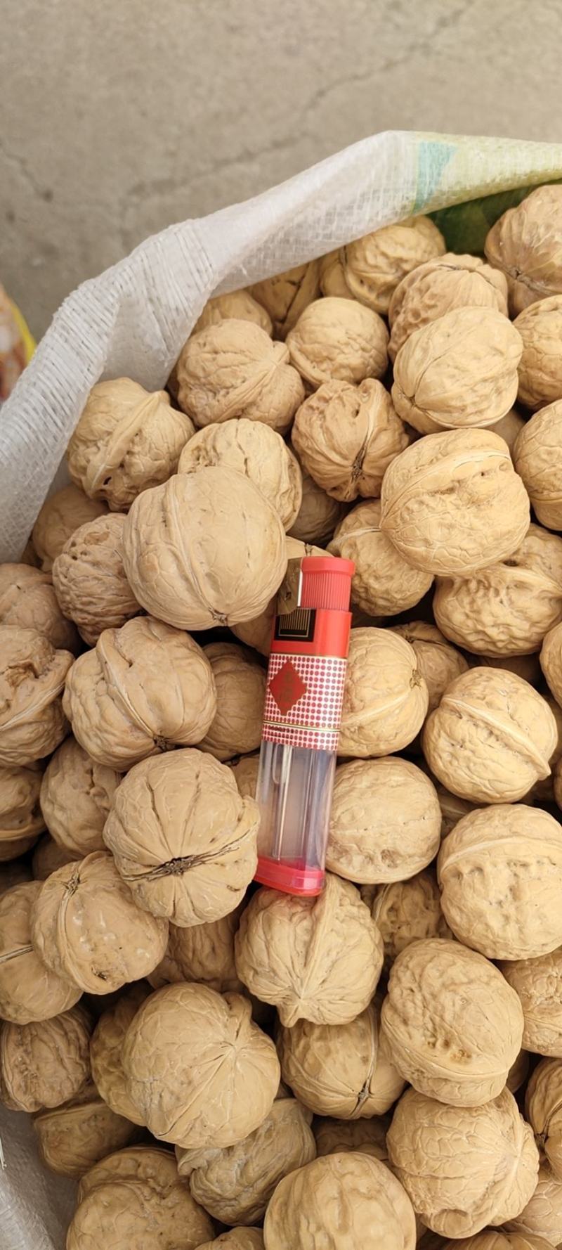 唐山老品种核桃内质好价格便宜产地一手货源小果两块多