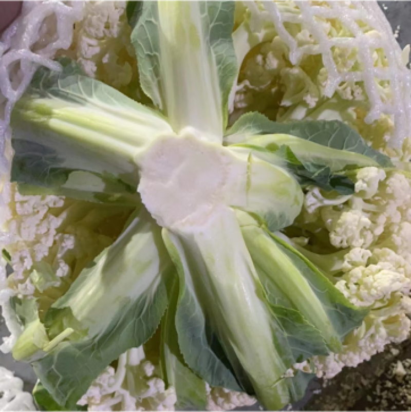 台州散花