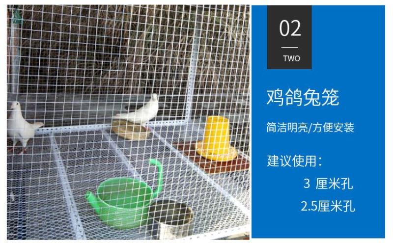 冷镀锌铁丝网养殖网防鼠防蛇养鸡鸭养狗围栏网圈地隔离鱼塘
