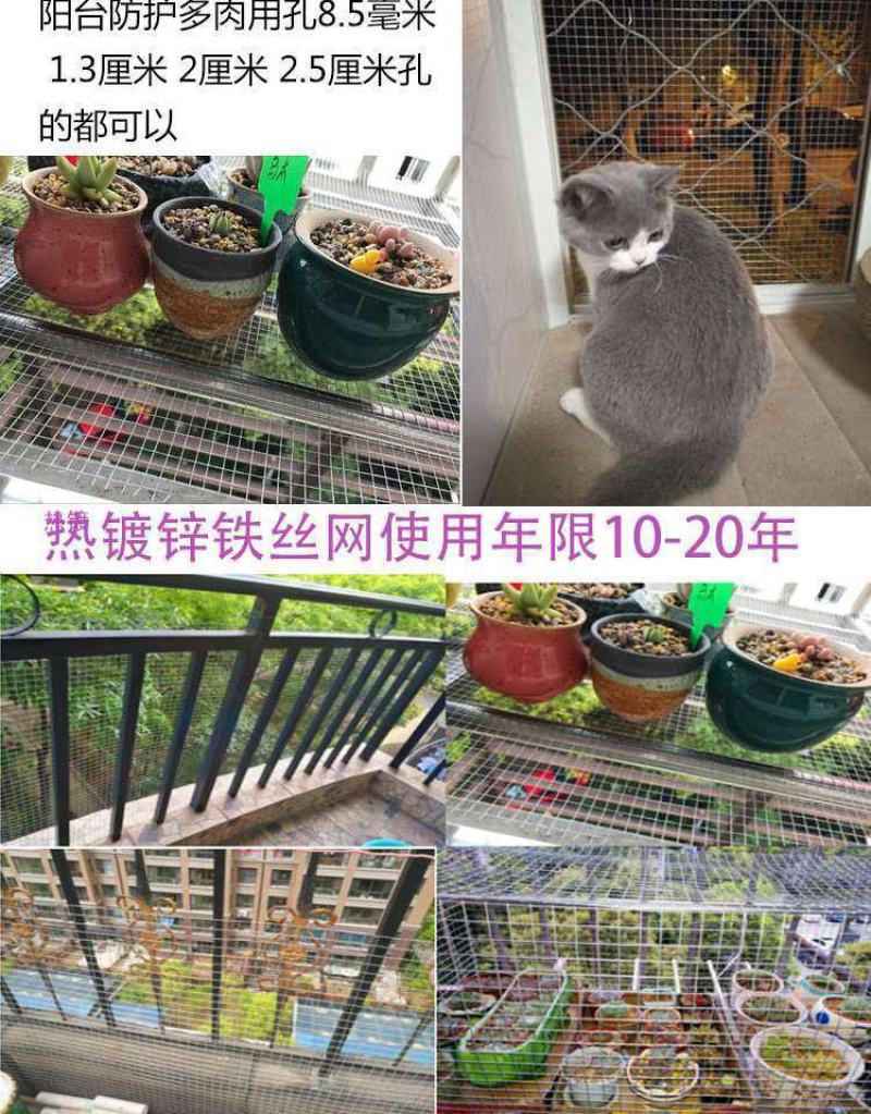 冷镀锌铁丝网养殖网防鼠防蛇养鸡鸭养狗围栏网圈地隔离鱼塘