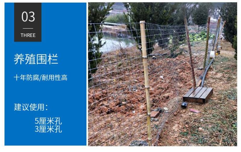 冷镀锌铁丝网养殖网防鼠防蛇养鸡鸭养狗围栏网圈地隔离鱼塘