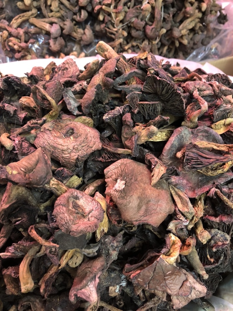 红蘑烘干黑头，干净整齐，饭店优选，价格合理