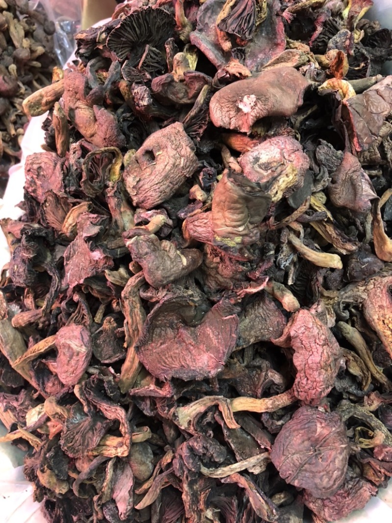 红蘑烘干黑头，干净整齐，饭店优选，价格合理
