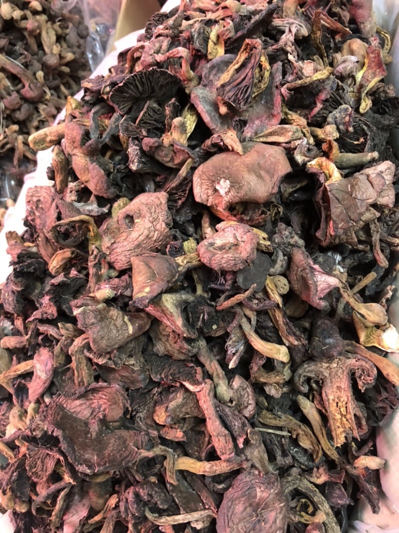 红蘑烘干黑头，干净整齐，饭店优选，价格合理