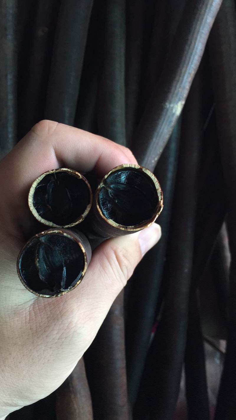 云南便秘果大解果腊肠果原生态带壳精品货零售批发