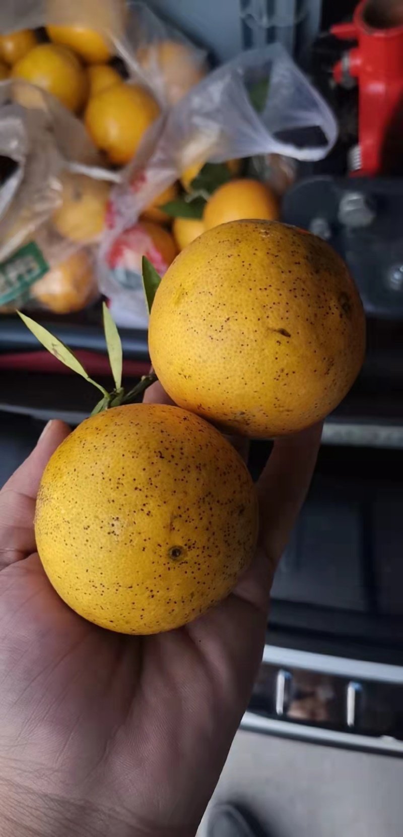 重庆开州精品脐橙口感好/价格便宜/量大质量好/产地直发
