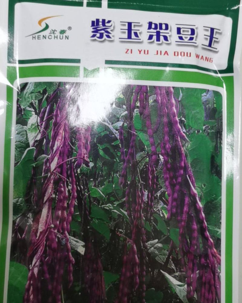 紫玉架豆种子种子摘不败豆角种籽紫色无纤维架豆籽